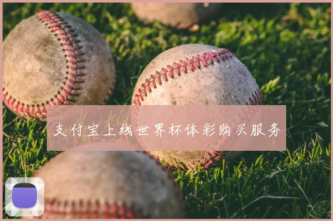 支付宝上线世界杯体彩购买服务