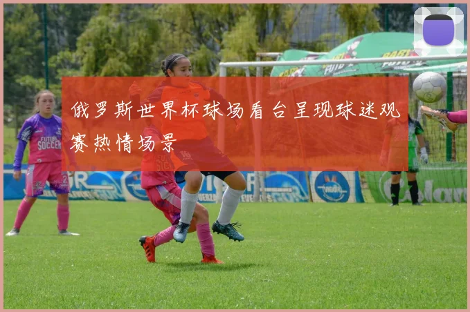 俄罗斯世界杯球场看台呈现球迷观赛热情场景