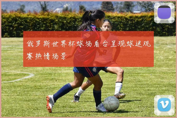 俄罗斯世界杯球场看台呈现球迷观赛热情场景