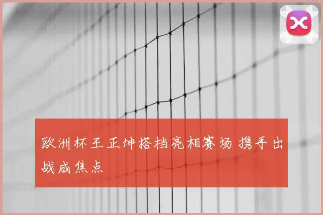 欧洲杯王正坤搭档亮相赛场 携手出战成焦点