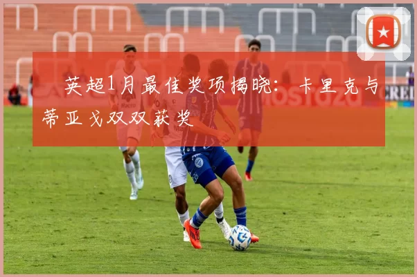 ​英超1月最佳奖项揭晓：卡里克与蒂亚戈双双获奖