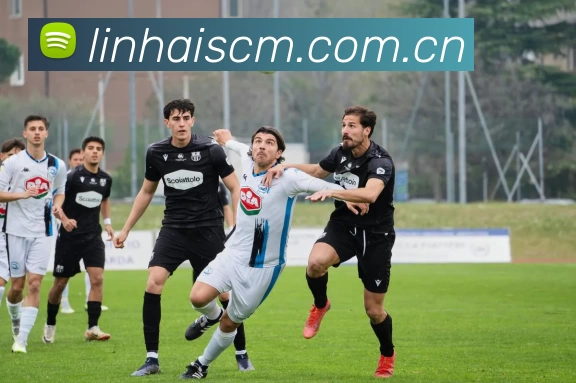 开云网页版·官方版在线登入 - 开云(中国)APP 体育赛事宣传图